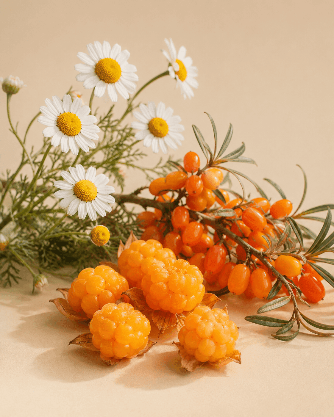 Organic Botanical Trio — key active in Veloura Gentle Cleanser. Skin gets fed while it gets cleaned. Calm, nourished finish.