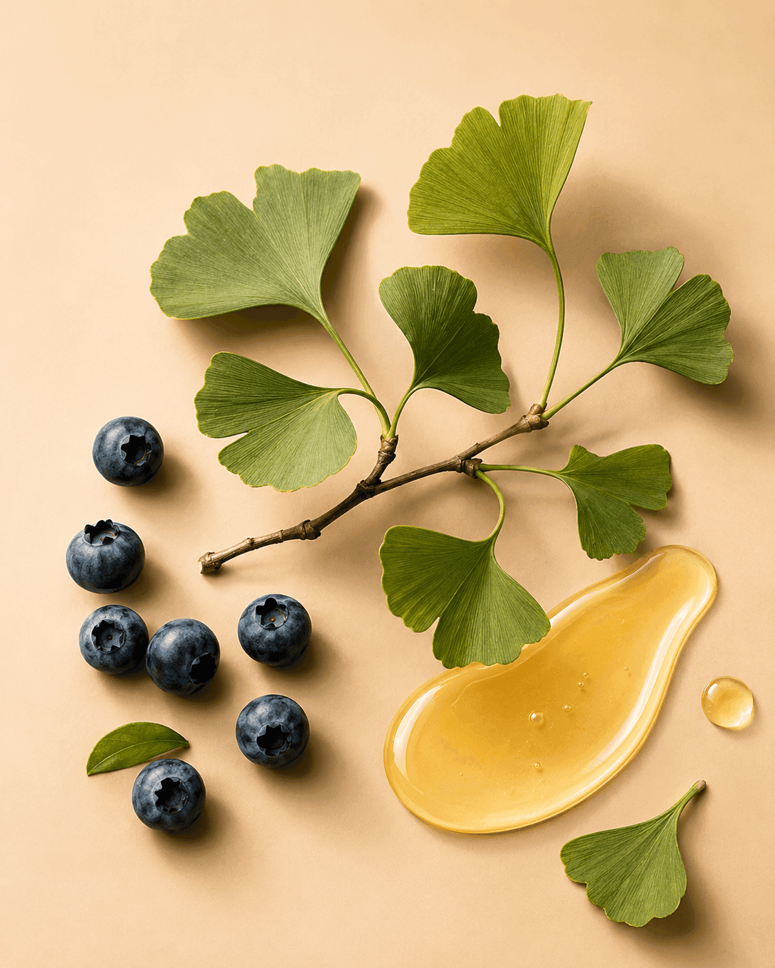 Ginkgo Biloba + Blueberry Seed Oil — key active in Veloura Peptide Serum. A defensive layer that protects new collagen from the oxidative stress that breaks it down, making results last longer.