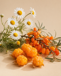 Organic Botanical Trio