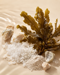Biomineral + Sea Algae