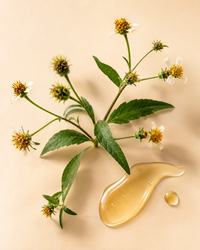 2% Bidens Pilosa Extract